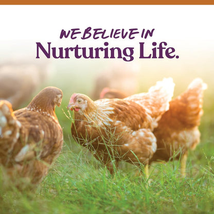 7-Grain Ultimate Chicken Scratch | Scratch Grain Treat for Chickens and Other Birds | Non-Gmo Natural Ingredients | 10 Pounds