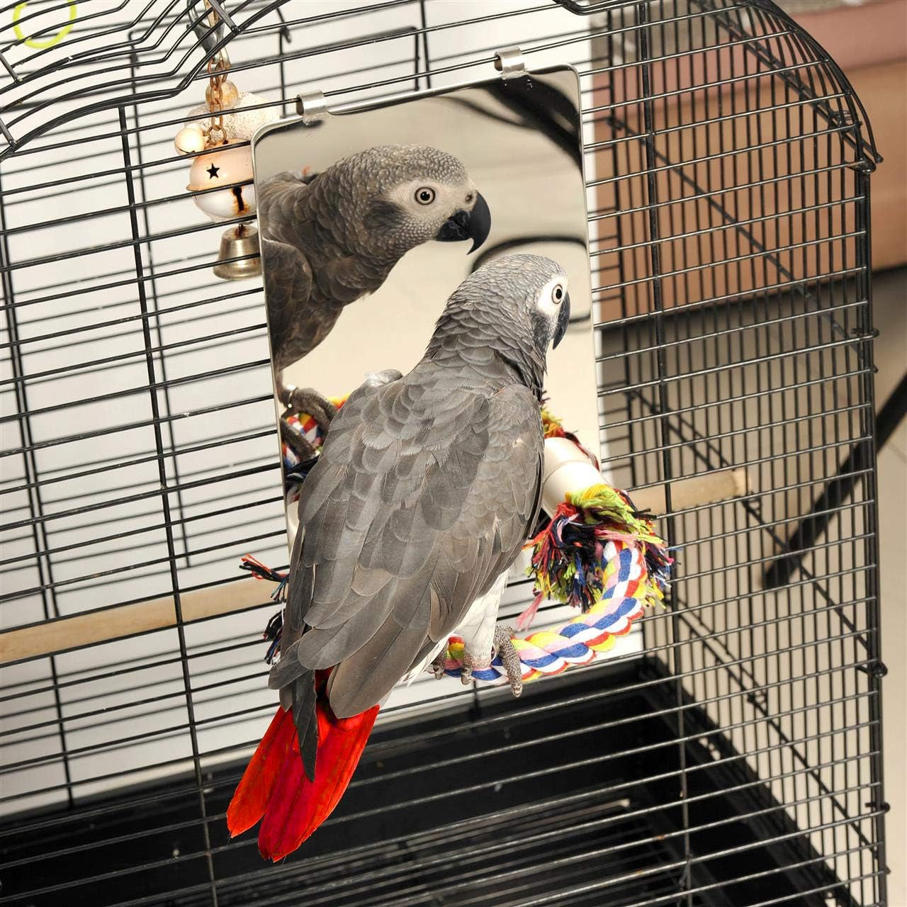 9" Bird Mirror with Rope Perch, Bird Swing, Parrot Cage Toys for Parakeet African Grey Conure Cockatiel Lovebird Finch Canarie, Large